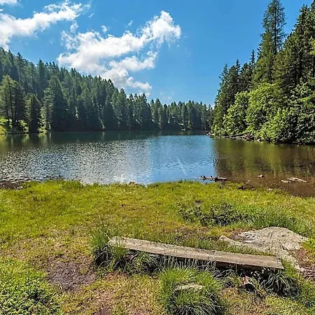Only 200 M From Station Hotel Predlitz-Turrach